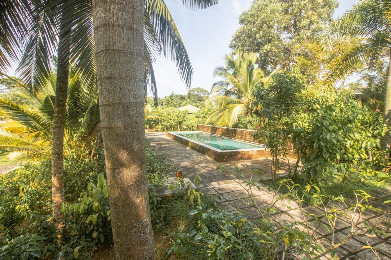 The Coastal Village Cabanas Ahangama Exterior foto